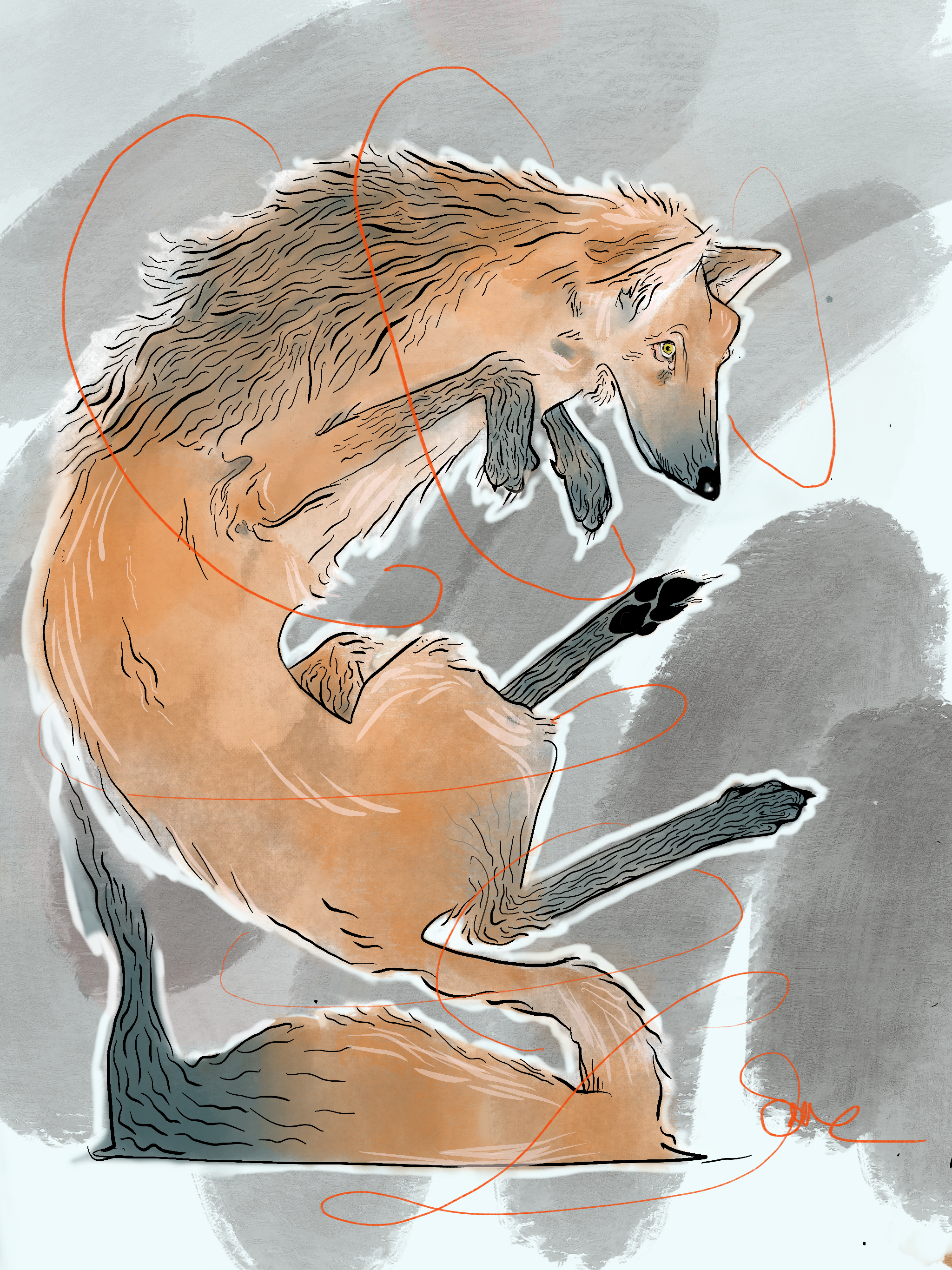 A digital painting that features a Maned Wolf seemingly hovering over the ground with a black painted background.